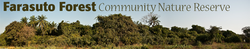 FarasutoHeader800